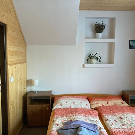 Pension U Krtka - Primo U Sjezdovky Harrachov Buitenkant foto