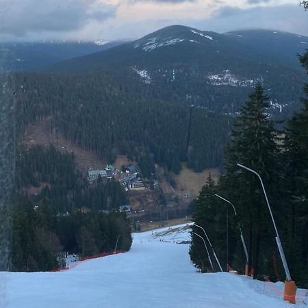 Pension U Krtka - Primo U Sjezdovky Harrachov Buitenkant foto