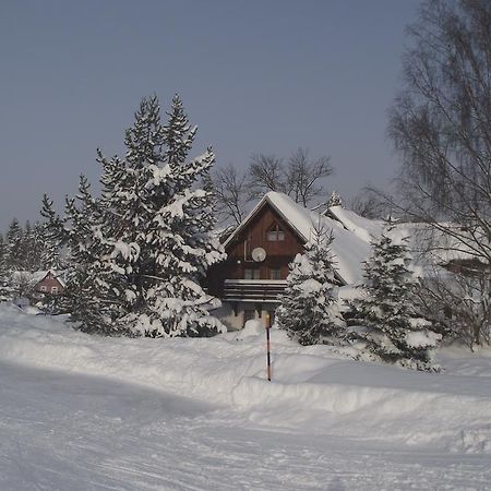 Pension U Krtka - Primo U Sjezdovky Harrachov Buitenkant foto