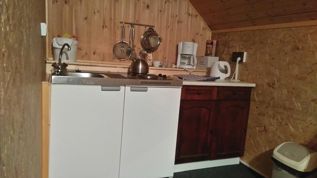 Pension U Krtka - Primo U Sjezdovky Harrachov Buitenkant foto
